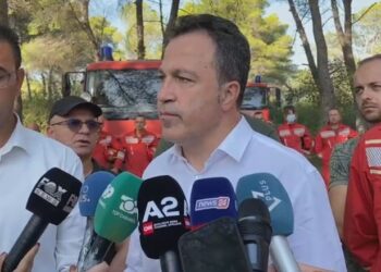 Zjarri në Pishporo e Darëzezë të Fierit, Peleshi në terren: Një ndër situatat më kritike që jemi përballur deri më sot! Puna s’ka ndalur kurrë