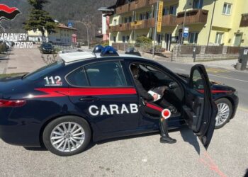 I dënuar në Shqipëri/ Kërkohej nga Interpoli për shitje droge, arrestohet kamerieri shqiptar në Itali