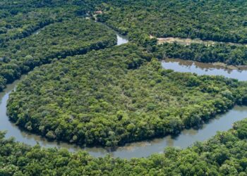 Cili është lumi më i gjatë në botë? Ekspedita e re synon të zgjidhë njëherë e mirë debatin