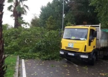 EMRI+FOTO/ Ky është 35-vjeçari që humbi jetën nga vinçi ndërsa po punonte në Durrës