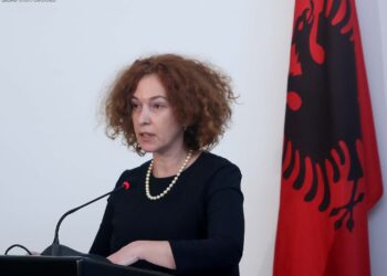 Ish-ambasadorja e BE-së në Tiranë, Vlahutin: Zgjerimi i unionit, konsolidon sigurinë evropiane