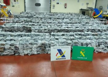 600 kg kokainë brenda kontejnerit me avokado, arrestohet shqiptari dhe spanjollët në Valencia