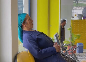 Shtesa e popullsisë drejt zeros, po dalin më shumë të moshuar në pension se sa po lindin bebe