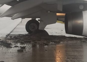 Video bën xhiro në internet/ Airbus A321 merr flakë pasi godet një zog, piloti bën ulje emergjente