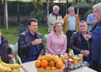 Basha me babain e Ervis Martinajt/ Propozon veting për politikanët, ja si e shkel i pari draftin e tij