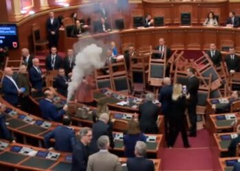 FOTOLAJM / Salianji ia lë tymueset Korreshit, përjashtohet nga seanca deputeti i Lushnjes
