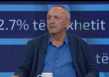 “Adhuron organet seksuale…”/ Profesori komenton gjuhën e Berishës: Tregon frikën që ka nga SPAK…