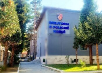 E dënuar me 7 vite burg, arrestohet në Kapshticë 55-vjeçarja në kërkim për shfrytëzim prostitucioni (Emri)