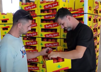 Eksportuesit e rinj/ Vëllezërit u kthyen nga emigrimi, tani dërgojnë prodhimin jashtë