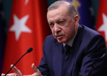 Erdogan: Kur u vranë 25 njerëz në Paris, liderët botërorë marshuan së bashku. Për Gazën heshtin!