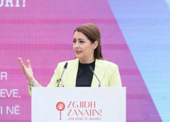 Orientimi drejt arsimit profesional, Manastirliu: Transferim pa burokraci nga gjimnazi në shkollat profesionale