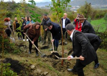 Tiranës i shtohen edhe 2500 pemë, Veliaj: Na duhen më shumë investime të tilla, që i ngelen qytetit; merrni lopatat, erdhi koha e mbjelljeve