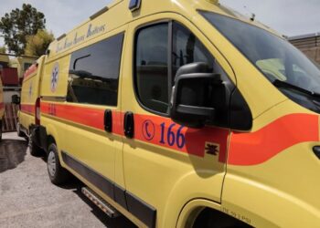 Tragjike/ Po priste ullinj, trungu i madh i pemës i bie sipër, humb jetën 45-vjeçari shqiptar, lë pas tre fëmijë