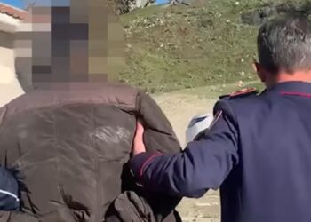 ‘Sundimi ligjit’ dhe ‘Tempulli’, 40 persona të arrestuar në 48 orë