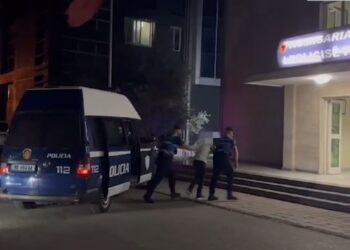 Vjedhje në biznese dhe në një banesë, arrestohen tre të rinjtë në Fier