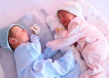 Mbi 36 mijë familje përfituan nga bonusi i bebes këtë vit, Rama: Financojmë programin edhe në vitin 2024