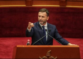 Nuk ngriti kartonin për pr/buxhetin, Braçe: Ma mori Salihu, votova me dorën lart