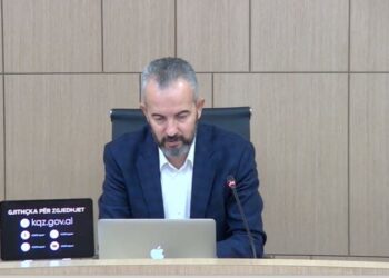 Vota e emigrantëve dhe votimi elektronik/ Celibashi: Partitë politike duhet të vendosin tani!