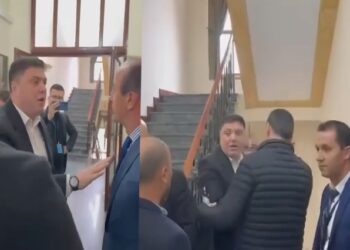 Sherri Sula-Çollaku, Braçe ironizon: Revolucioni nuk e paska pushim! Dhunë mbi çdo deputet, edhe të partisë së tyre