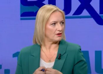 Fondet IPARD në bujqësi/ Denaj:  Nuk janë pezulluar por lënë në pritje