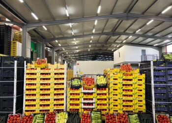 Denaj: Eksportet bujqësore, rritje me 12.5 % gjatë 10-mujorit
