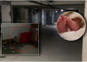 Emri/ Braktisi foshnjën e sapo lindur në një bodrum në Tiranë, policia ndalon nënën e re nga Pogradeci