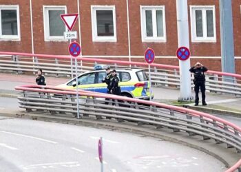 Mosmarrvëshje për kujdestarinë, babai mban peng fëmijën në aeroportin e Hamburgut