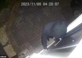 VIDEO/ Tmerrohet qytetari, një person i maskuar tenton të hyjë me forcë në shtëpinë e tij
