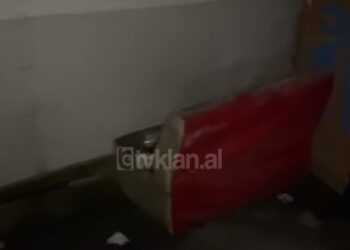 Braktisi foshnjen në garazhdin e pallatit, 30-vjeçarja dërgohet nga policia për ndihmë mjekësore në spital