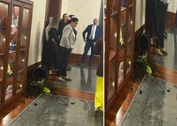 VIDEO / Sherri në ambientet e Kuvendit, deputetët e Berishës thyejnë vazot e luleve