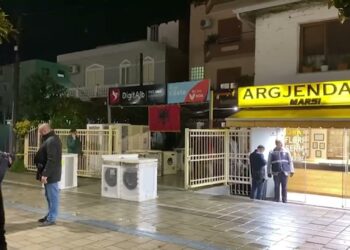 Detajet/ Ja sa flori grabitën 3 autorët në Kamëz, pronarja: Një prej tyre me dialekt jugor