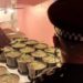 Droni zbulon parcelën me kanabis, policia gjen shqiptarin duke fjetur brenda: I kam lekë borxh babait