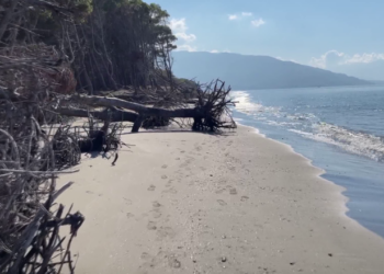 Deti “rrëmben” tokën në Vlorë/ Ambjentalistët: Erozioni po shkakton dëme të mëdha