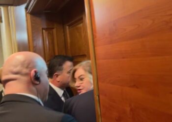 VIDEO/ Deputetja demokrate përplaset me Gardën: Kush je ti që më prek?