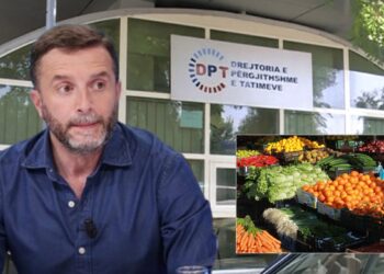 “Idiotët e padobishëm”/ Drejtoria e Tatimeve reagon ndaj Braçes: Deklarata e tij e pasaktë, keqardhje për gjuhën e përdorur e fyerjet