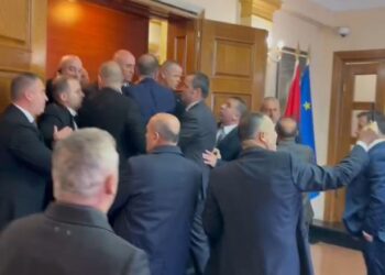 Tentuan t’i kontrollojnë, deputetët e Berishës sherr në hyrje të Kuvendit, Noka tërheq me forcë gardistin