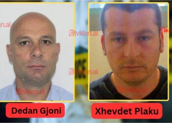 Detajet/ Përgjimet e Holandës zbuluan planet për vrasjen e Xhevdet Plakut