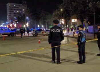 Efektivi qëlloi me armë zjarri 26-vjeçarin, Policia: I riu goditi me grushte inspektorin, tentoi të hynte me makinë në koncert