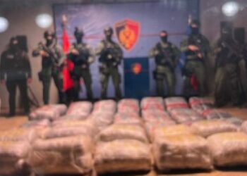 Detajet/ Sekuestrohen 500 kg kanabis në Vlorë, 7 persona të arrestuar
