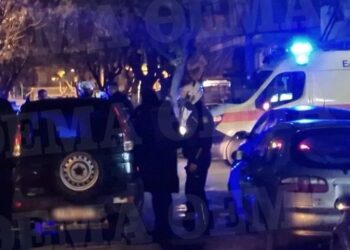 Detajet/ U plagos në sy të vëllait dhe të dashurës, 30-vjeçari shqiptar tentoi t’i merrte armën autorit