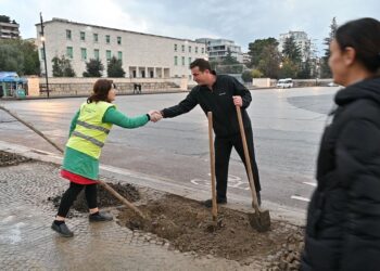 20 pemë të reja në sheshin “Nënë Tereza”, Veliaj: Na duhet kontributi i të gjithëve, ftesa është e hapur