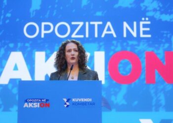Argita Berisha fjalim në Kuvendin e PD: Jam këtu si përfaqësuese e shtresës së mesme