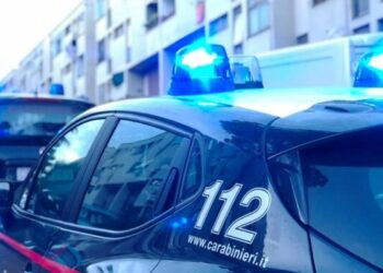 Itali/ Arrestohen 20 shqiptarë, sekuestrohen rreth 3 milionë euro drogë. Përplasja mes grupeve vrau vëllezërit nga Puka
