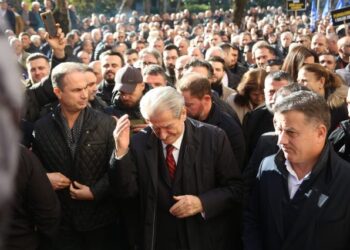 Opozita, pjesërisht indiferente dhe tërësisht e fyer