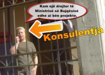 Ekspertja mëson bizneset si të mashtrojnë për të fituar fondet IPARD nga AZHBR-ja