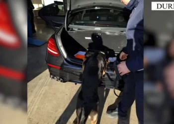 Fishekzjarre dhe alkool, kapen mallra kontrabandë në Portin e Durrësit