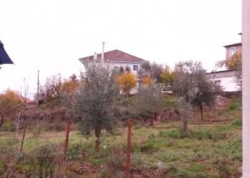 “Hape derën jemi policia”/ Detajet si u tentua të grabiten dy të moshuarit në Tiranë