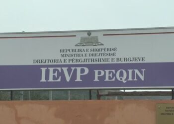 Vrasja brenda burgut të Peqinit, arrestohet drejtori dhe 12 punonjës të sigurisë