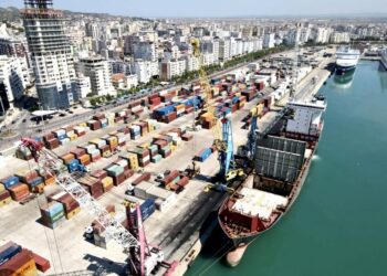 Eksportet/ Roskoveci nis çdo ditë nga 100 tonë prodhime sere jashtë vendit