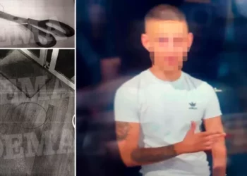 Vrau vëllanë e mitur me gërshërë për një bluzë, zbardhet dëshmia e 18-vjeçarit